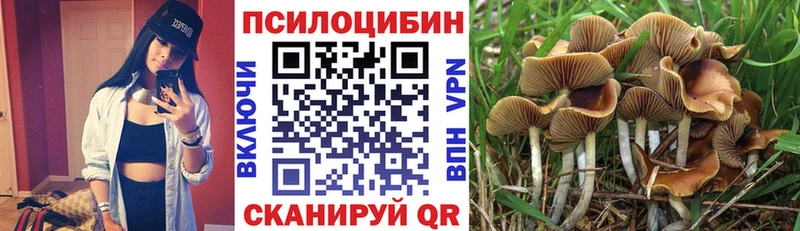 Галлюциногенные грибы мухоморы  Купить закладки  Геленджик 